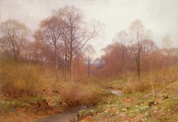 En skogkledd elv, landskap høst (akvarell)