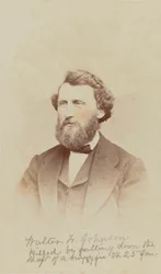 Carte-de-visit-portrett av Walter W. Johnson, 1868.