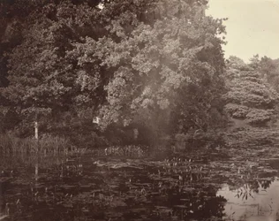 [Dammen i parken, Surrey]