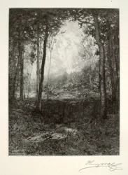 I Adirondack-fjellene