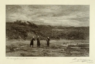 Blåskjellsamlere