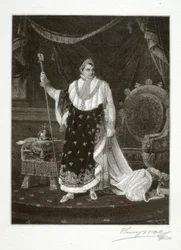 Napoleon som keiser