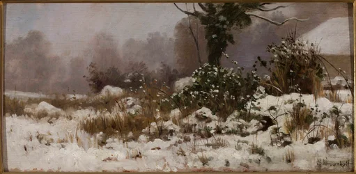 Vinterlandskap