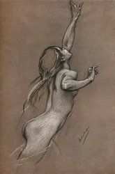 Flying Fish Study, c1910