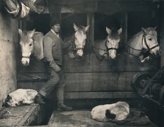 Kaptein Oates, på Terra Nova med de sibirske ponniene, c1911, 1914.