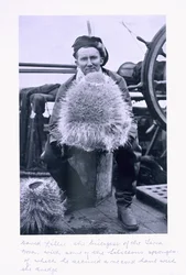 David Lille, biolog i 
