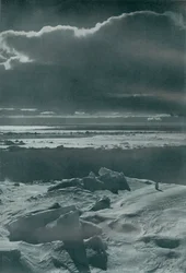 Kveldsscene i flokken, c19101913, 1913