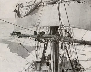 Rulleseil i flokken, c19101913, 1913