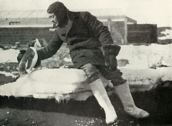 Løytt. Rennick og en vennlig pingvin, 1911, 1913