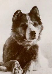 Vida, s.19101913, 1913.
