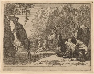 Geiter