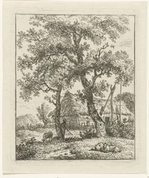 Gård og gjeter