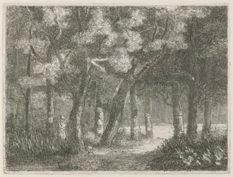 Hunter og hunden hans i skogen