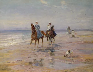 En tur på stranden, Dublin