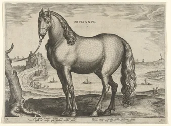 Hest fra Bretagne (Brittanus) Britannvs (tittel på objekt) Hesteraser fra Royal Stables of Don Juan of Austria (serietittel) Equile Ioannis Austriaci Caroli (serietittel)