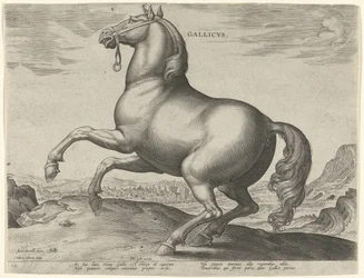 Hest fra Frankrike (Gallicus) Gallicvs (tittel på objekt) Hesteraser fra Royal Stables of Don Juan of Austria (serietittel) Equile Ioannis Austriaci Caroli (serietittel)