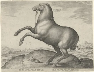 Hest fra Scythia Cimber (tittel på objekt) Hesteraser fra Royal Stables of Don Juan of Austria (serietittel) Equile Ioannis Austriaci Caroli (serietittel)