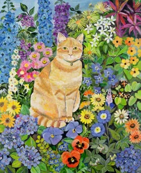 Gordons Cat, 1996