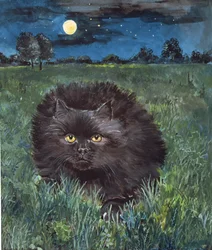 Katten og månen