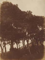 [Feltet ved Bonaly]