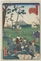 No.5, Cherry-blossom-visning på Asuka Hill