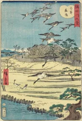 Søkegjess ved Shirahige, november 1861