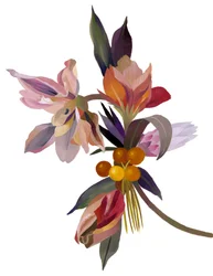 En imaginær blomst basert på en tulipan.