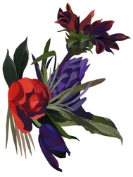 Tulipaner og georginer.