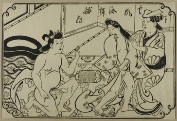 Et ark fra et shunga-album