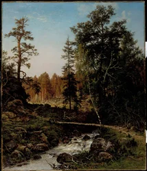 Et skoglandskap fra Hauho