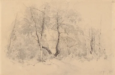 Bjørkelund