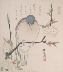 Spring Rain Collection Harusame shu, vol. 3: Fjelldue og ferskenblomster, ca. 1820., ca. 1820.