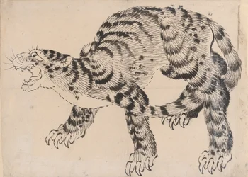 Tiger, 1800-tallet.