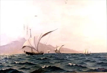 Portugisiske fiskebåter