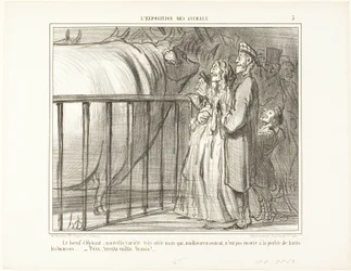 Okselefanten, en ny og svært lovende rase. Dessverre fortsatt utenfor gjennomsnittsborgerens økonomiske muligheter.... pris: 30 000 franc, plate 5 fra L#39;exposition Des Animaux