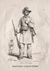 Frivillig partisan