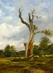 The Blasted Tree, ca. 1838 (olje på lerret)