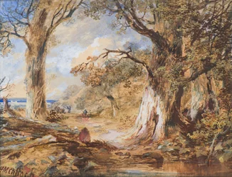 Edge of the Wood