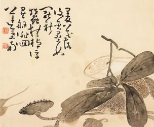 Malt albumblad - Lotusplante, 1700-tallet