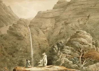 Besøke grå stær ved Dol-y-Melynen, nær Dolgelly, Wales (blyant og akvarell)
