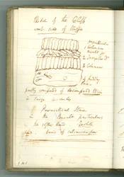 ‘Sketch of the Cliff west side of Staffa’, side fra Sir Humphry Davys Personal Notebook (blekk på papir)
