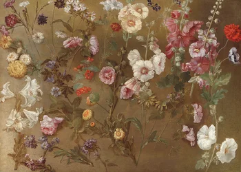 Sammensetning av blomsterstudier inkludert nelliker, nåleputeblomster, sprettveddemål, malva; stokkroser, afrikansk ringblomst, forglemmigei