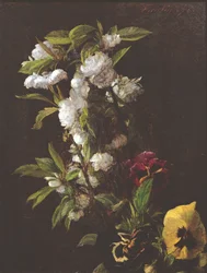 Blomster, 1876