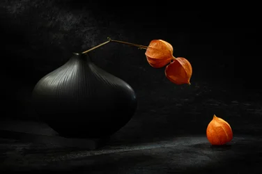Svart vase, oransje lykter