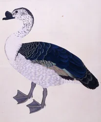 En kamand, ca. 1800