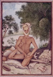 Legg til 27255 fol.370v A Naked Ascetic, fra 