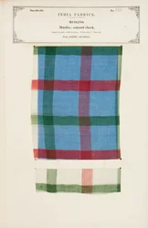 Farget rutete muslinprøve fra Arnee i Madras, fra The Collection of the Textile Manufacturers of India, av John Forbes Watson, utgitt i 1866