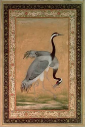 Kraner av Mansur, Jahangir-perioden, Mughal