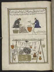 fiskehandlere, kvinner sløying fisk; mann som tørker fisk,  86 tegninger bundet inn i et bind som viser håndverk og yrker i Kashmir, håndverkere vises i arbeid med redskaper og utstyr,  Av en Kashmir-kunstner, sannsynligvis i Srinagar, ca. 1850-60 (gouach