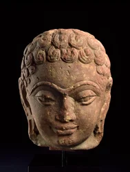 Leder for en Jain Tirthankara, Mathura-regionen, Kushan-perioden, 3.-4. århundre e.Kr. (sandstein)